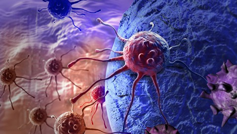 Ученые научились "усыплять" раковые клетки