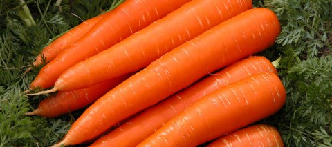 Сладости из моркови