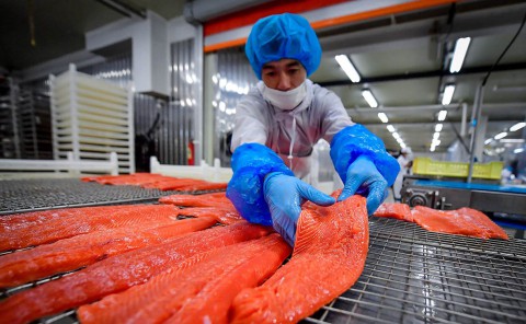 ​Цены на красную рыбу в России снизятся?