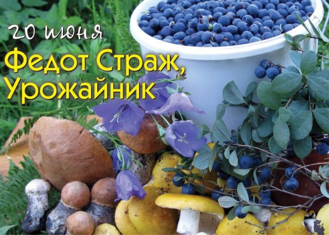 ​Народный календарь: Федот Урожайник