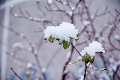 Свердловскую область занесет снегом: советы спасателей