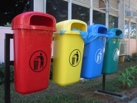В восьми регионах РФ с этого года начнется раздельный сбор мусора