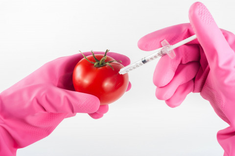Страшилки  и правда о ГМО. Зачем стали выводить генные модификации?