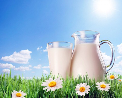 Поможет ли молоко в борьбе с остеопорозом?
