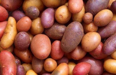 Эксперты рассказали о «страшной ошибке» при варке картофеля