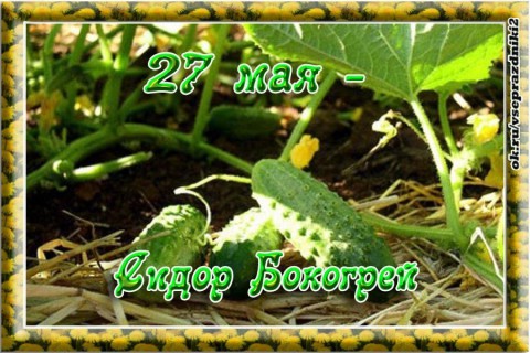 Народный календарь: ​Сидор Бокогрей