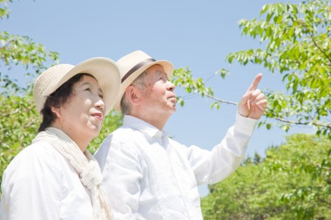 Япония побила рекорды по числу долгожителей