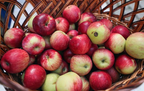 Кожура яблок спасет о от рассеянного склероза?