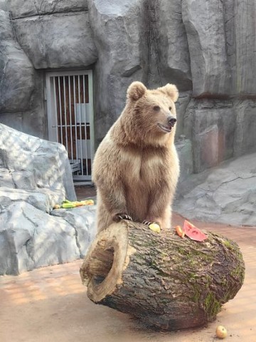 ​Курс на 100-летие. Екатеринбургский зоопарк: итоги юбилейного года