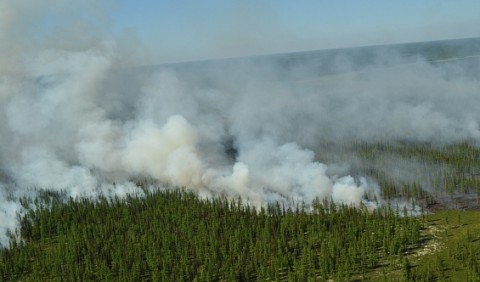 В Свердловской области ожидаются пожары