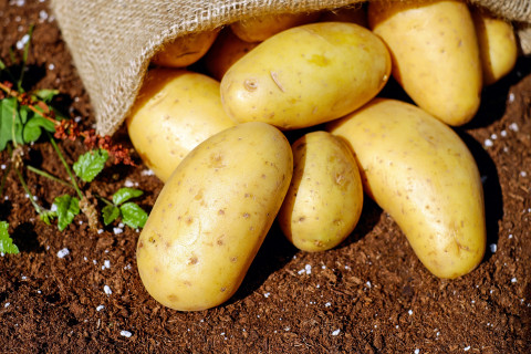 Эксперт рассказала о пользе и вреде картофеля