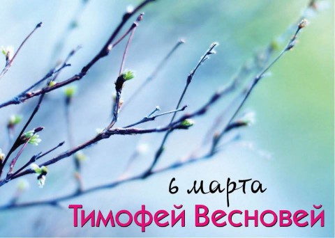 Народный календарь: ​Тимофей Весновей