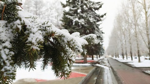 В Свердловской области ожидаются заморозки и мокрый снег