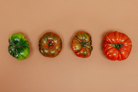 ​Экзотичные помидоры - какие сорта выбрать