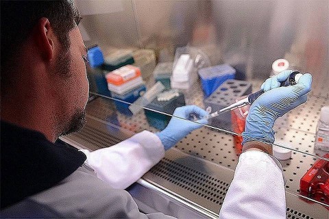 Учёные снова отодвинули дату окончания пандемии в России