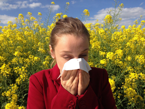 Аллергия на цветение - в мегаполисе. Миф или реальность?