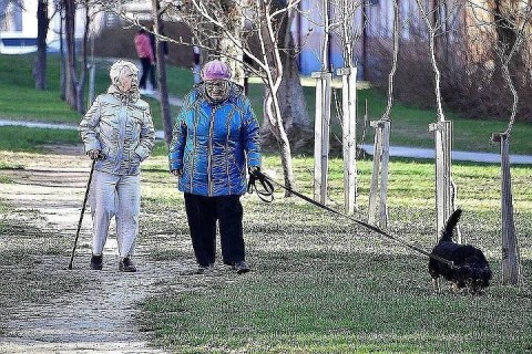 ​ Депутат рассказала, когда пенсии вырастут до 20 тысяч рублей
