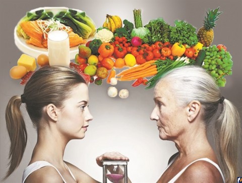 Какой витамин продлевает активность в старости?