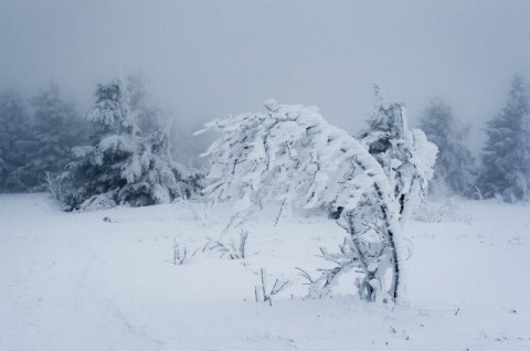 Настоящая зима добралась до Свердловской области
