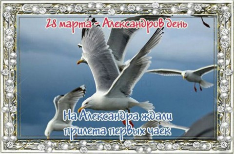 ​Народный календарь: Александров день
