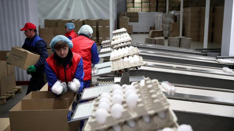 Производители яиц и мяса птицы предложили поднять цены