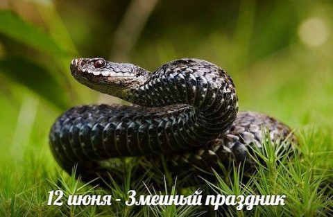 Народный календарь: ​Змеиный праздник