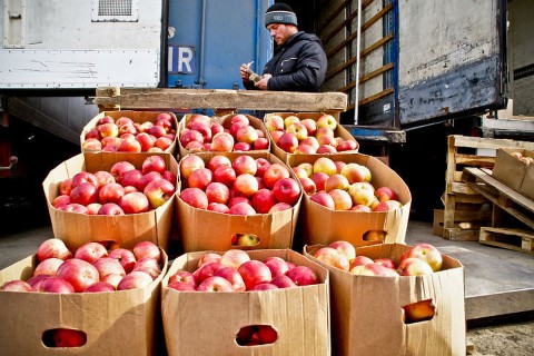 В Екатеринбург на 2 дня привезут наливные яблоки со всей страны