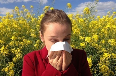 Как справиться с аллергией на цветы?
